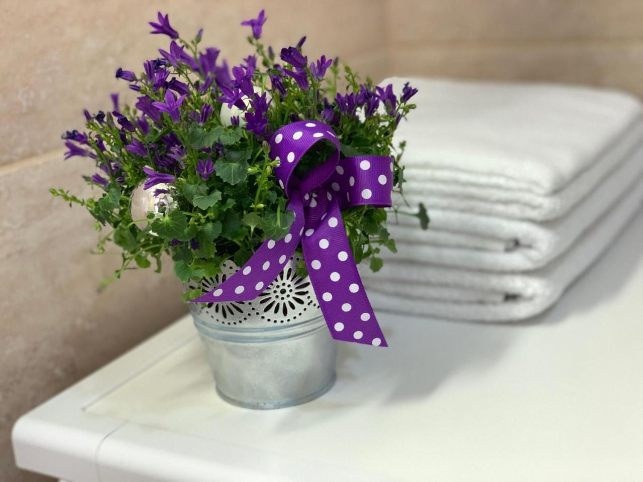 Apartament Karina